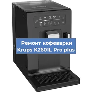 Чистка кофемашины Krups K2601L Pro plus от кофейных масел в Тюмени